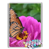 Kit Pintura Terapêutica - Flores D
